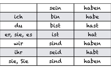 vervoegingen haben